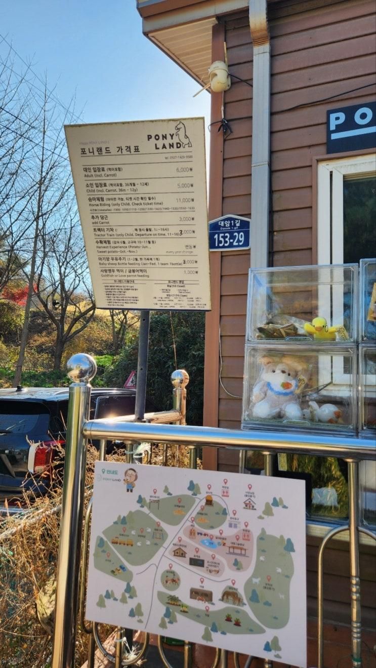 [울산]포니랜드 내돈내산 리뷰