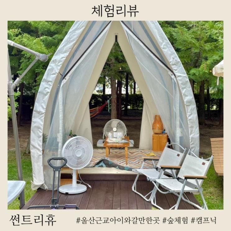 울산 근교 경주 아이랑 갈만한곳 숲체험 캠프닉 썬트리휴 내돈내산