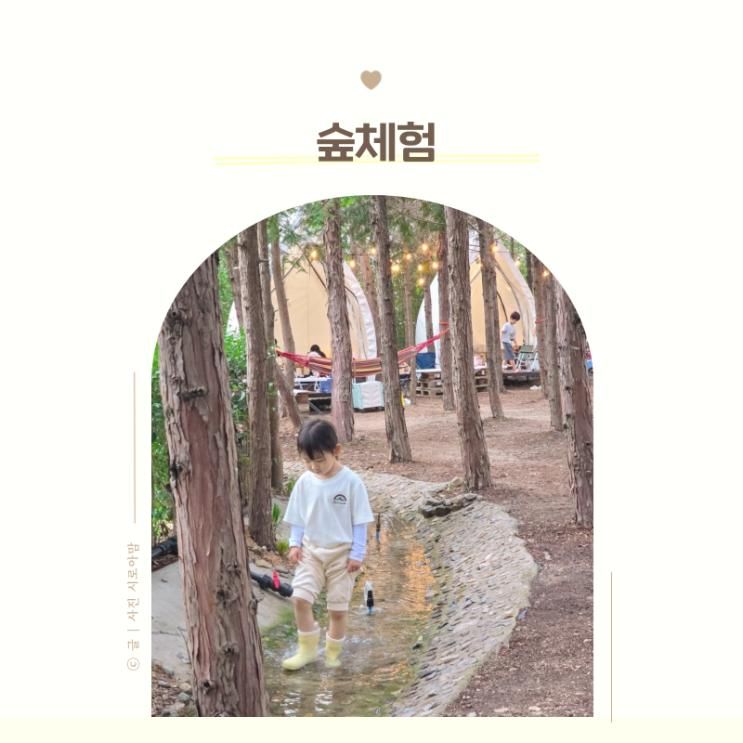 울산 근교 아이랑 숲 체험 피크닉 경주 썬트리휴