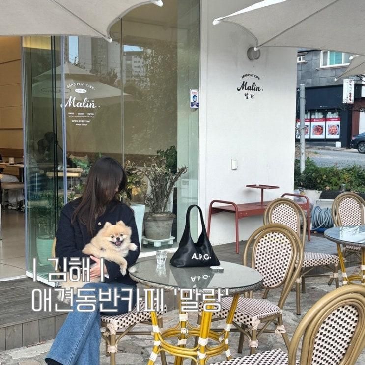 김해 롯데아울렛 아이랑 무료 모래놀이터 애견동반 가능카페 말랑 율하점 내돈내산