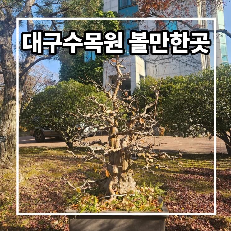 대구수목원 나들이 가볼만한 곳 정리