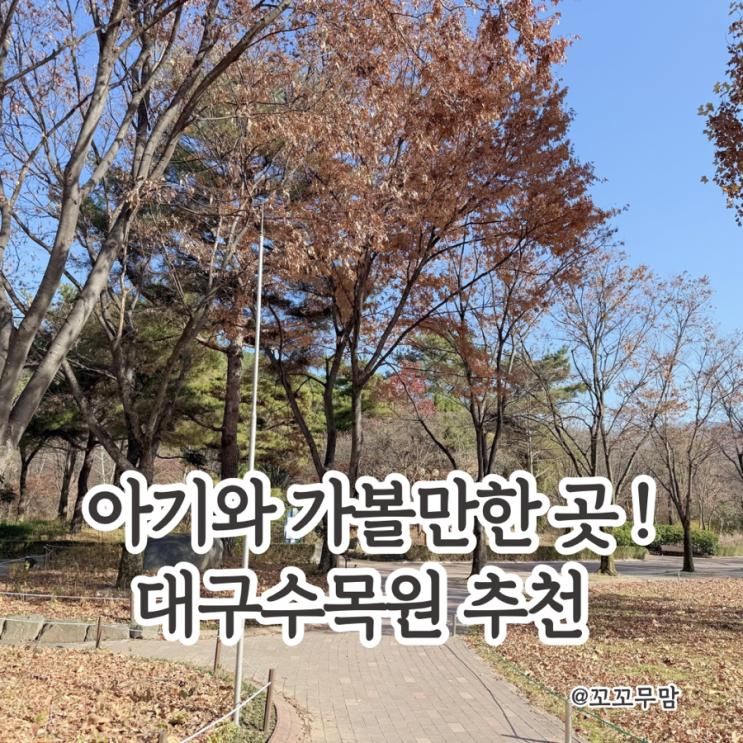 아기와 함께한 대구수목원 산책. 자연 속 힐링 나들이 추천