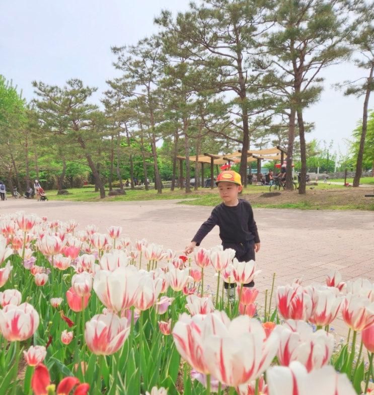 상암 월드컵공원 놀이터 서울에너지드림센터 마포 요즘 가볼만한곳