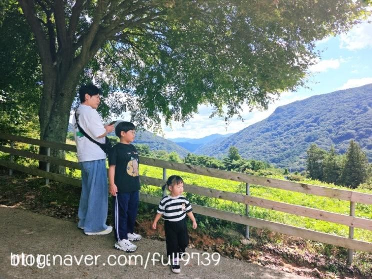 전남 화순 무등산 양떼목장_파인40 대형카페