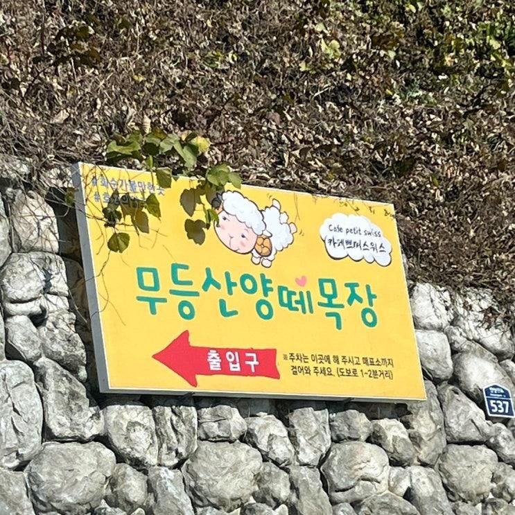 [화순] 5개월 아기와 가볼 만한 곳 화순 무등산 양떼목장 동물농장 체험