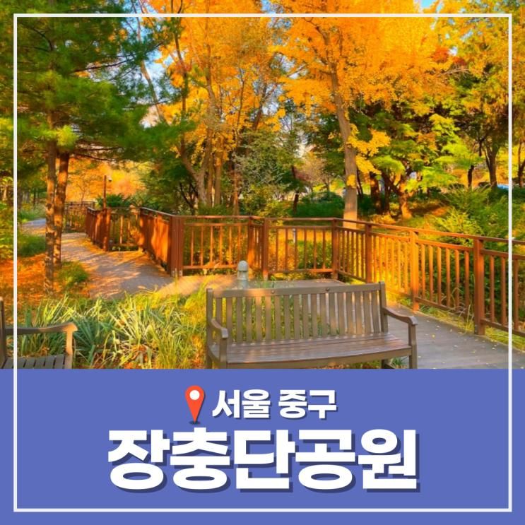 장충단공원 서울 숲길 단풍명소 가을나들이 야외데이트 추천