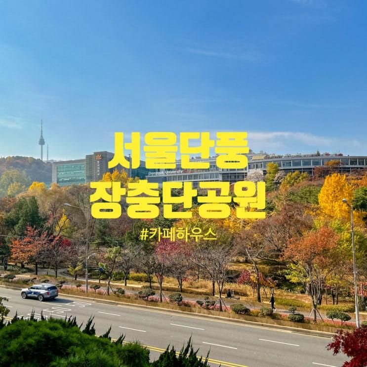 서울 가볼만한 가을스팟 장충단공원