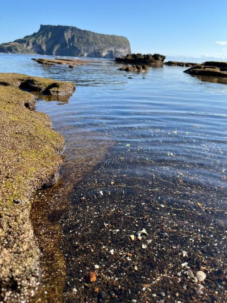 제주도 광치기 해변 조개잡이