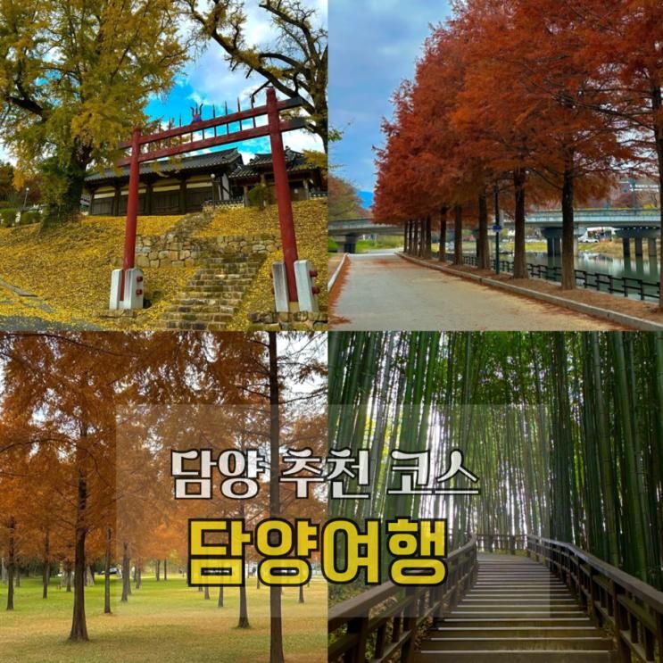 담양 가볼만한곳 11월 여행코스 추천 담양관방제림 / 죽녹원 / 메타세콰이어길 / 창평향교
