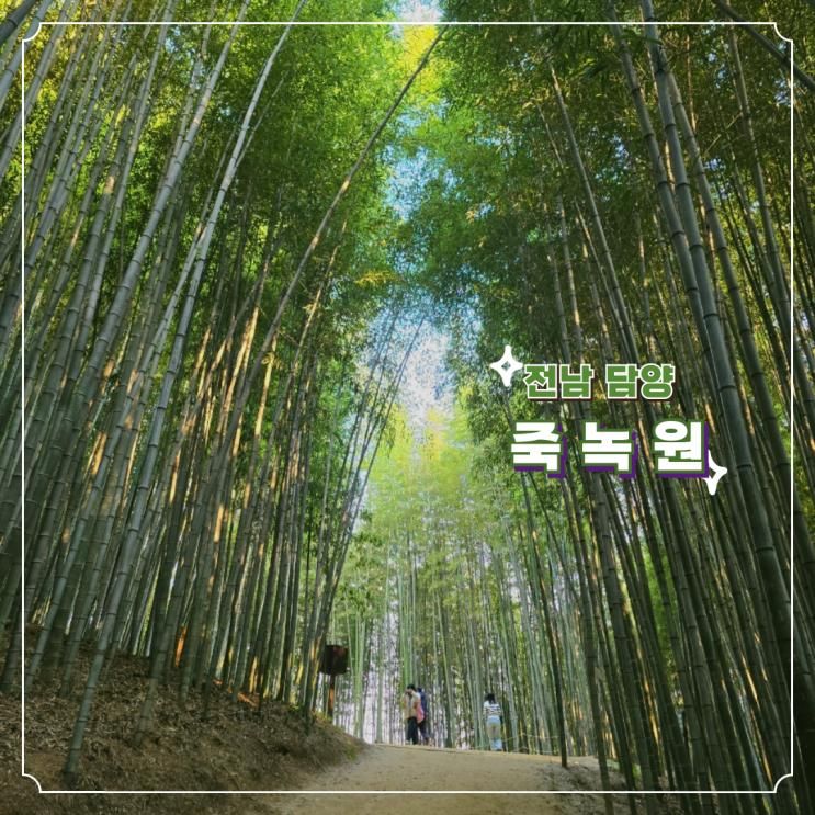 담양 죽녹원 대나무숲, 전남 가을여행 산책코스로 추천