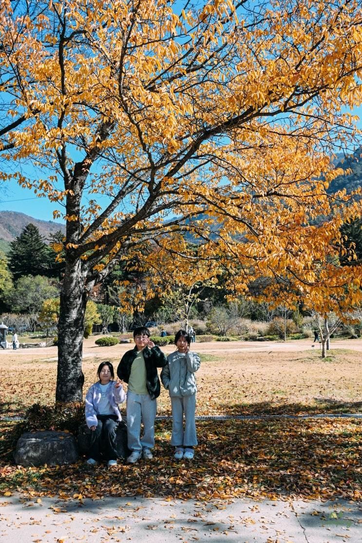 엄마 없이 조카데리고 운문사까지 구경간 장박 2주차