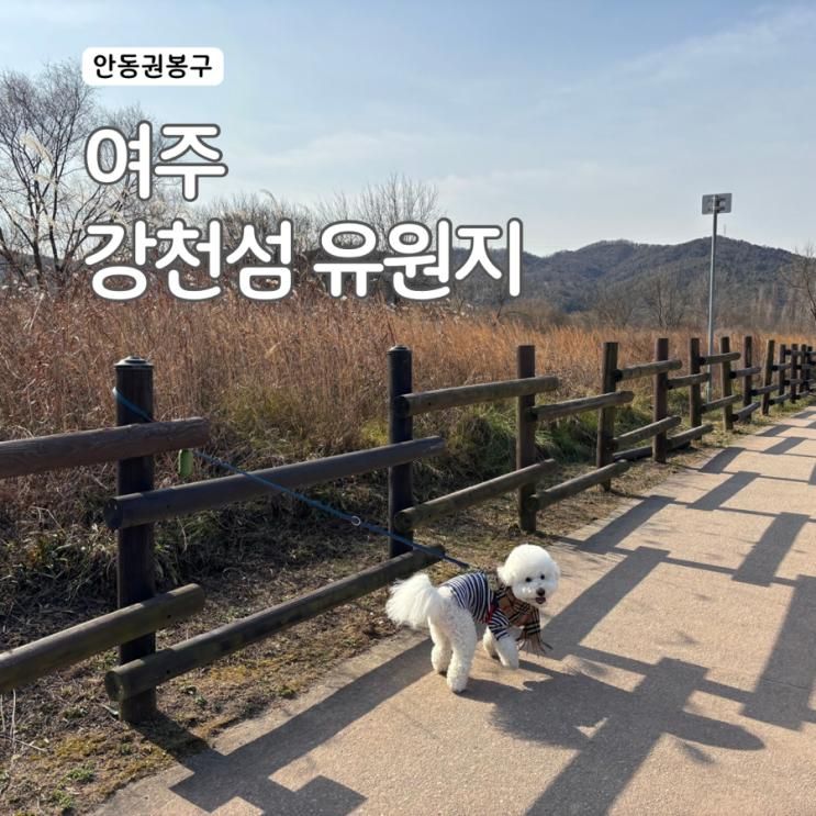 여주 강천섬유원지(주차·잔디광장) | 애견동반 여행 서울근교