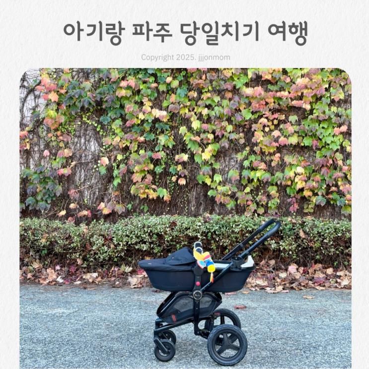 4개월 아기랑 파주ㅣ이이유적 심학산도토리국수 템스커피 지혜의숲 롯데아울렛 수유실