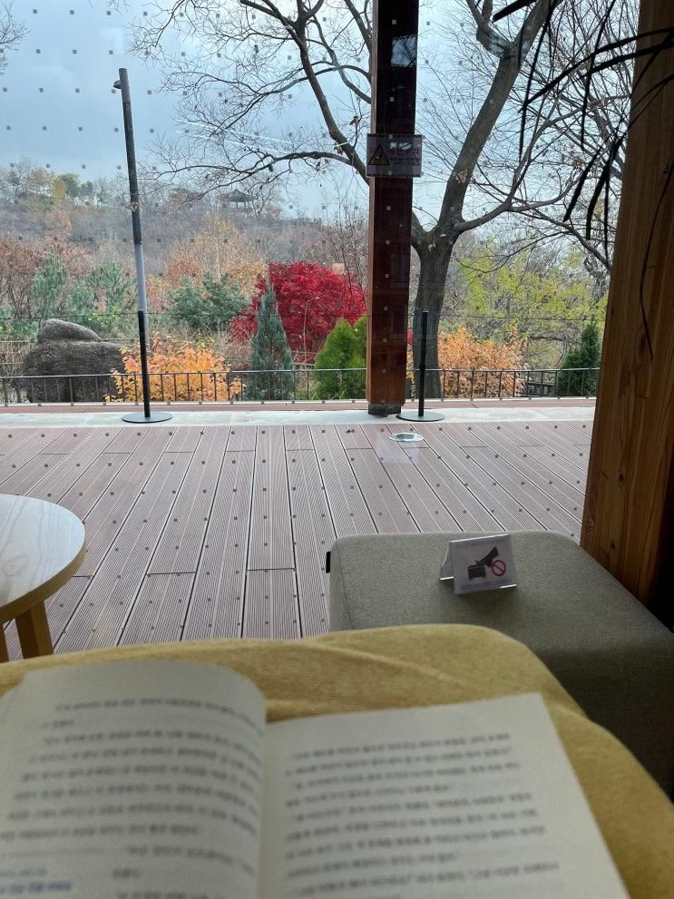 성북구 가볼만한곳 : 오동숲속도서관 통창뷰·주차·산책 코스 안내