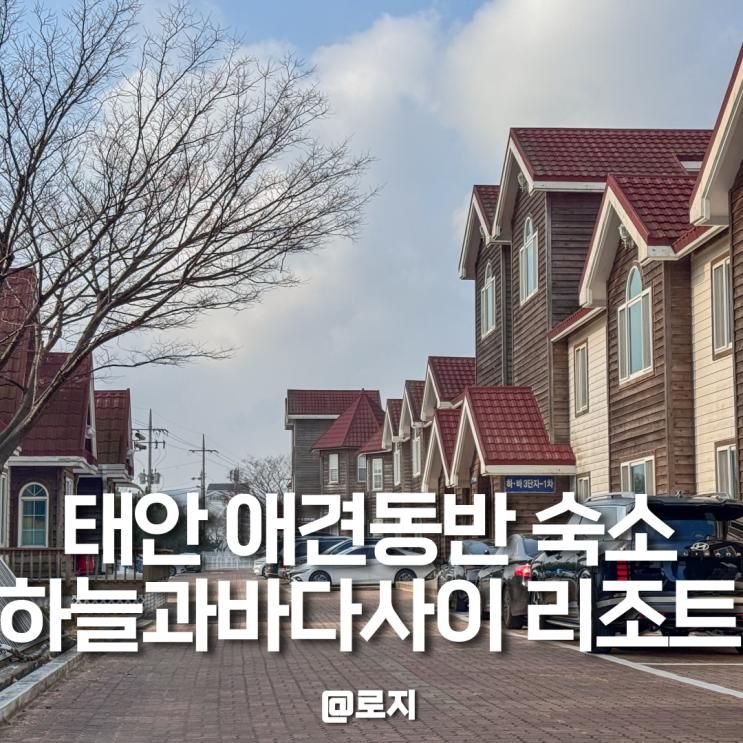 태안 애견동반펜션 가족여행 오션뷰 숙소 추천 하늘과 바다사이 리조트