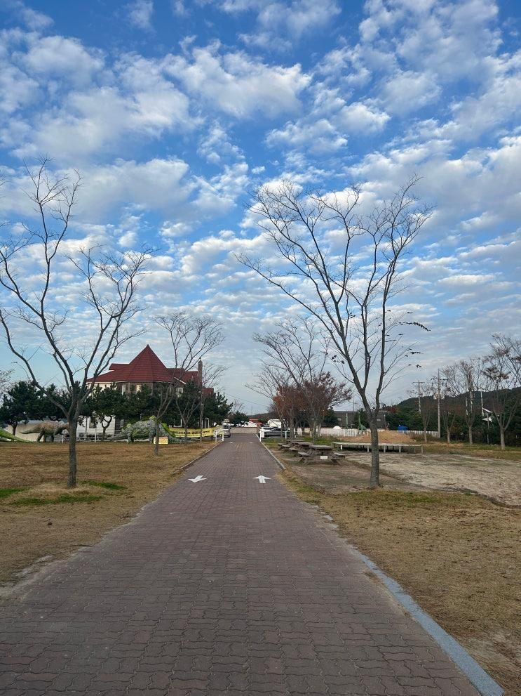 태안 [하늘과바다사이 리조트] 365호 _애견동반 내돈내산 후기