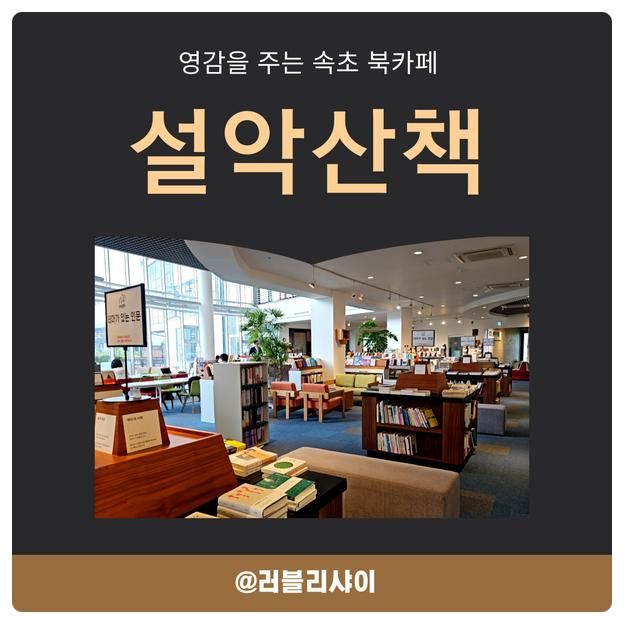영감을 주는 북카페 추천 <속초 설악산책> 도서관과 서점이 한 곳에