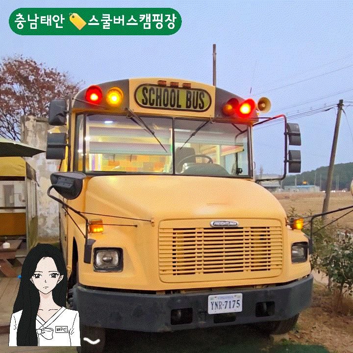 안면도 스쿨버스 캠핑장｜야! 너두 아이랑 겨울여행 쉽게 할 수 있어!
