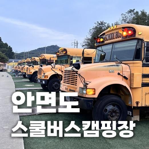 안면도 스쿨버스 캠핑장에서 특별한 캠핑 태안 이색 체험