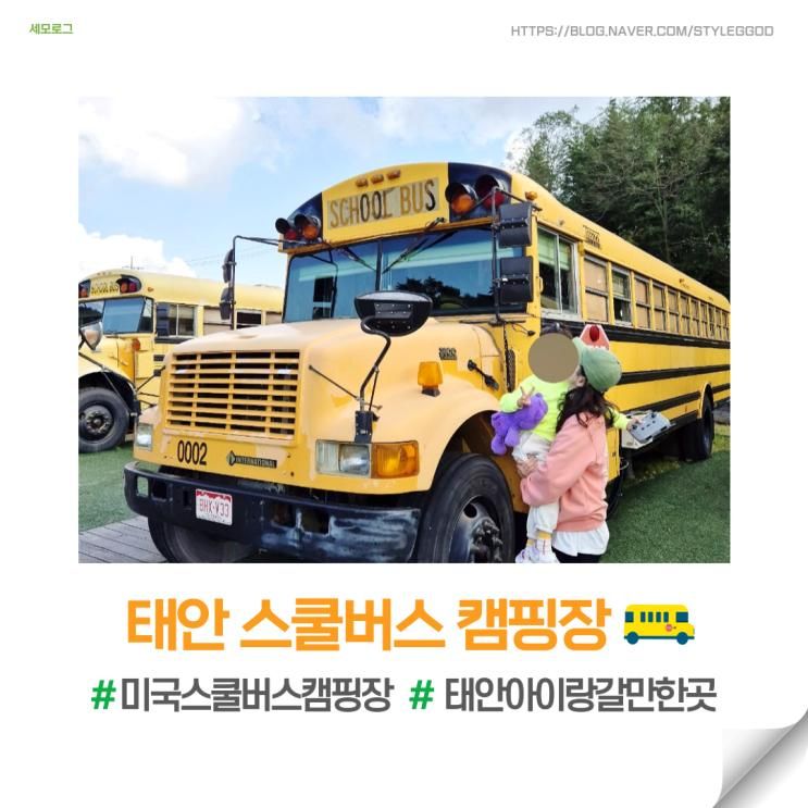 태안 스쿨버스 캠핑장 아이와 가볼만한 곳 MBC 구해줘숙소 최종 선택 펜션 상세 후기