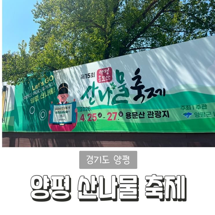 아이랑 가볼만한 곳 경기도 양평 용문산 산나물 축제 찐후기