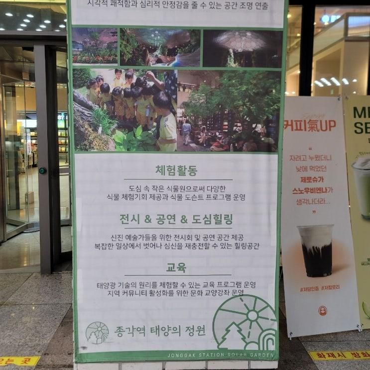 종각역 태양의정원 — 도심 속 작은 힐링 공간