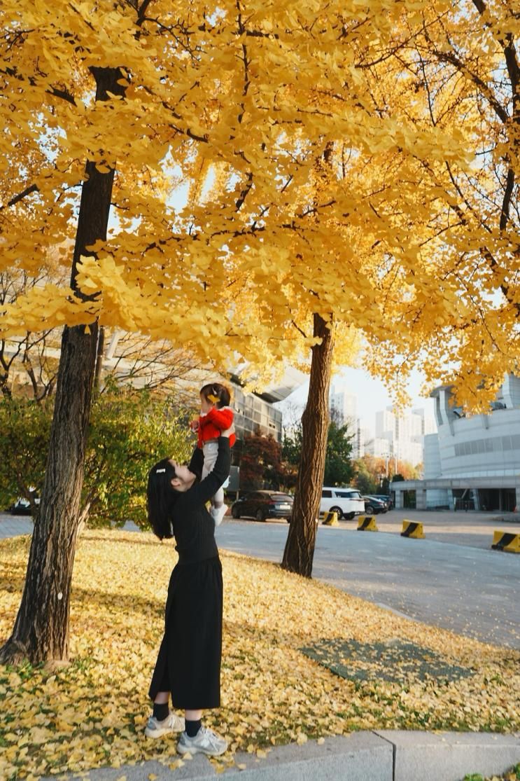 올림픽공원 들꽃마루 댑싸리, 은행나무 구경 기록