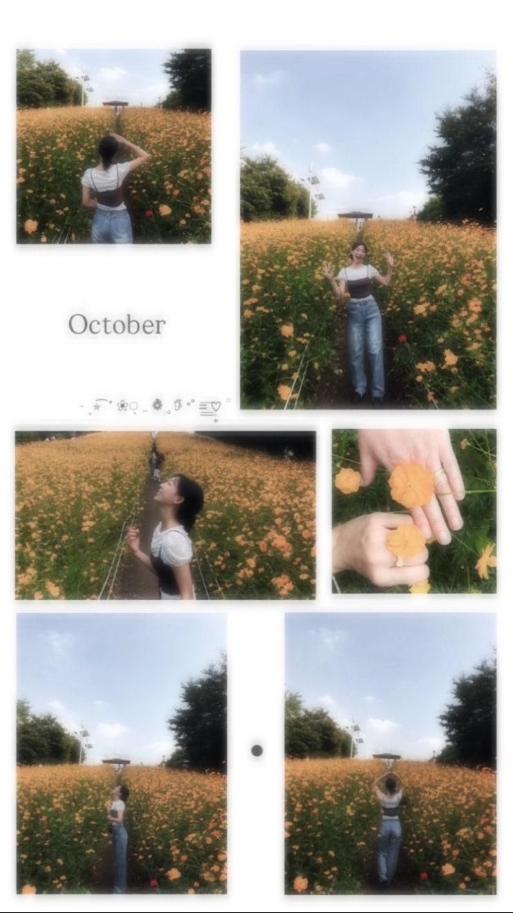 올림픽 공원 - 들꽃 마루