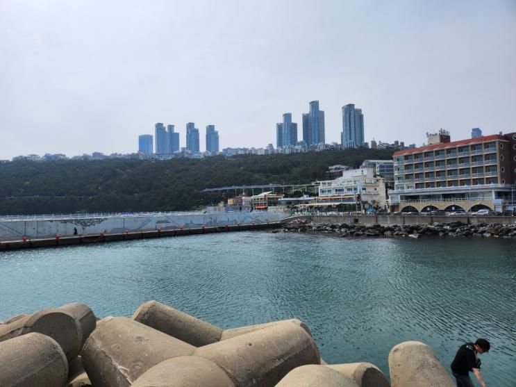 부산 카페 '앨리스도넛'
