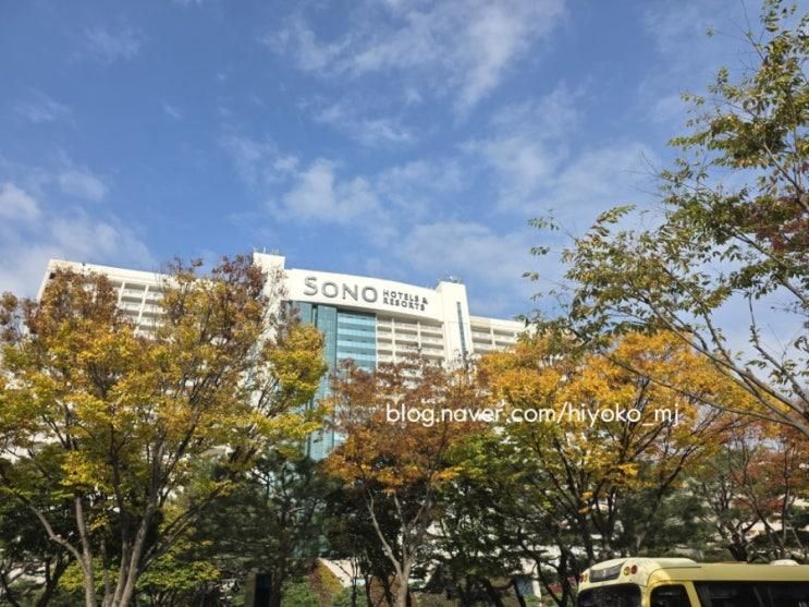 홍천 소노벨 비발디파크 A동 아이 동반 여행 후기