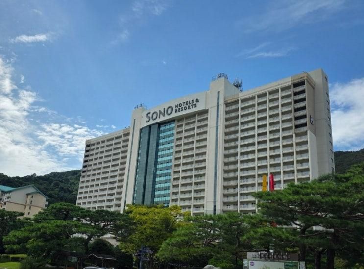 소노벨 비발디 패밀리스탠다드 룸 조식 패키지 할인 꿀팁 내돈내산