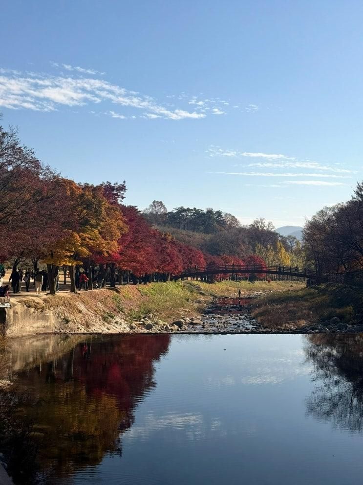 [문경] 문경 1박2일 여행 코스. 문경 가볼 만한 곳 총정리. 문경맛집｜오미자 테마 터널·희영이네 묵집·카페 그로체·강이주는맛집·문경새재 도립공원 완벽 후기