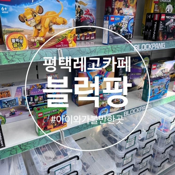 평택 용죽 키즈카페 레고 : 블럭팡 평택용죽점