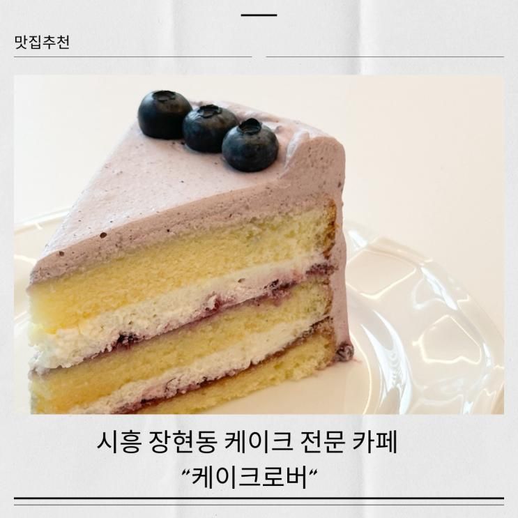 장현동 시흥시청 근처 카페 직접 케이크 만드는 '케이크로버... 