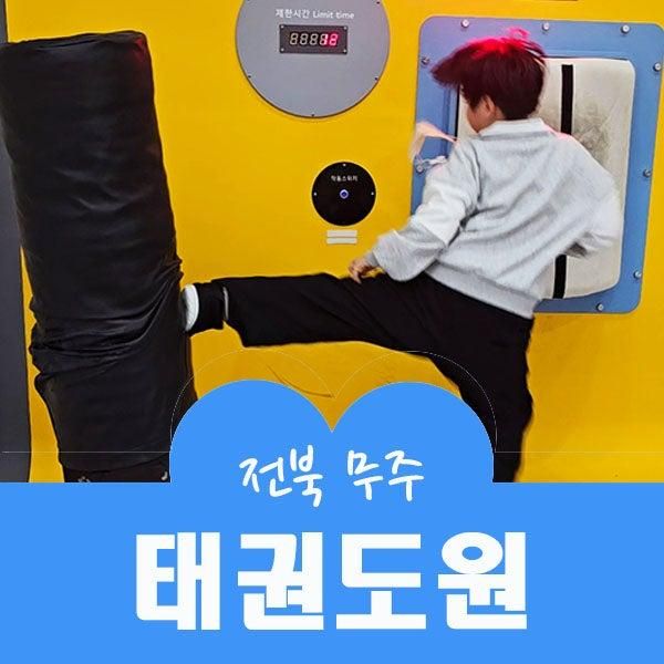 무주 아이와 가볼만한 곳 태권도원 Yap!체험관 모노레일... 