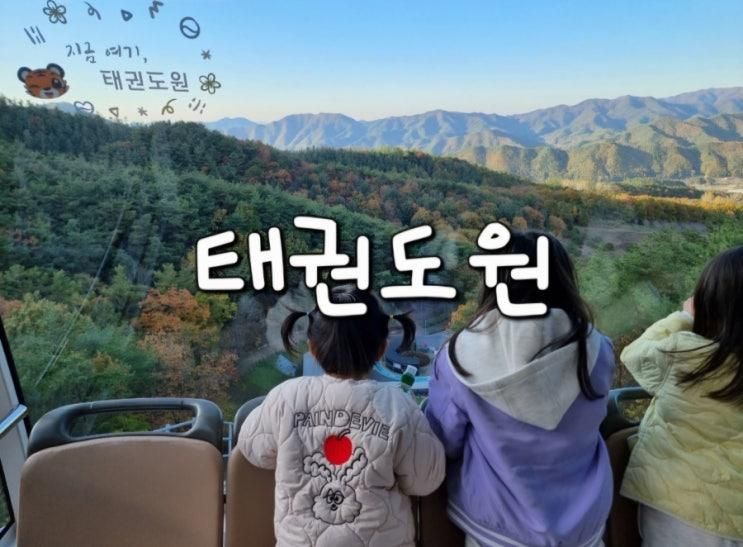 아이와 태권도원 모노레일 전망대 포토존 즐기기 무주 가볼만한곳