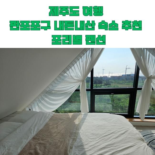 제주도 4인가족 판포포구 숙소 추천 포리별 펜션 내돈내산... 