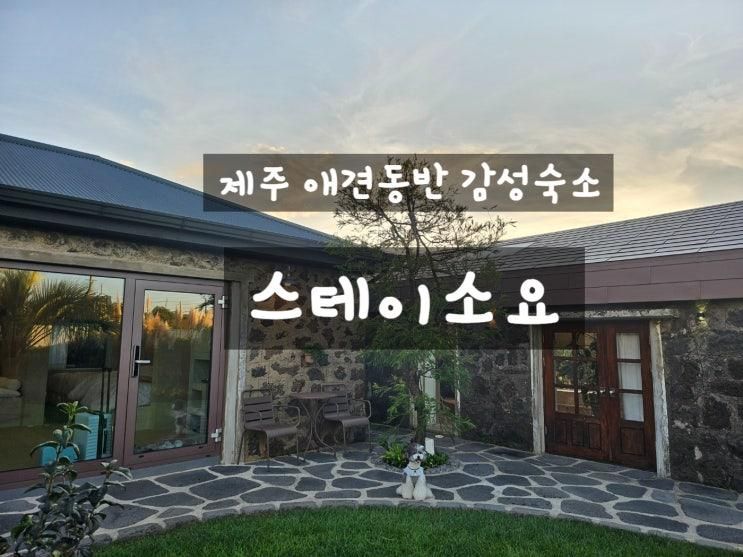 제주 애견동반 감성숙소 스테이소요