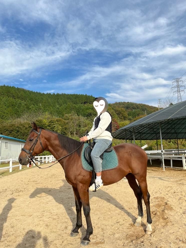 [보성액티비티] 이색체험 데이트로 좋은 '마림 승마목장'