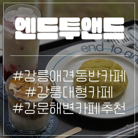 강릉 애견동반 카페 엔드투앤드 커피맛집 대형카페 추천