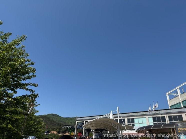 통영 당일치기 여행, 미륵산 통영케이블카 & 통영중앙전통시장
