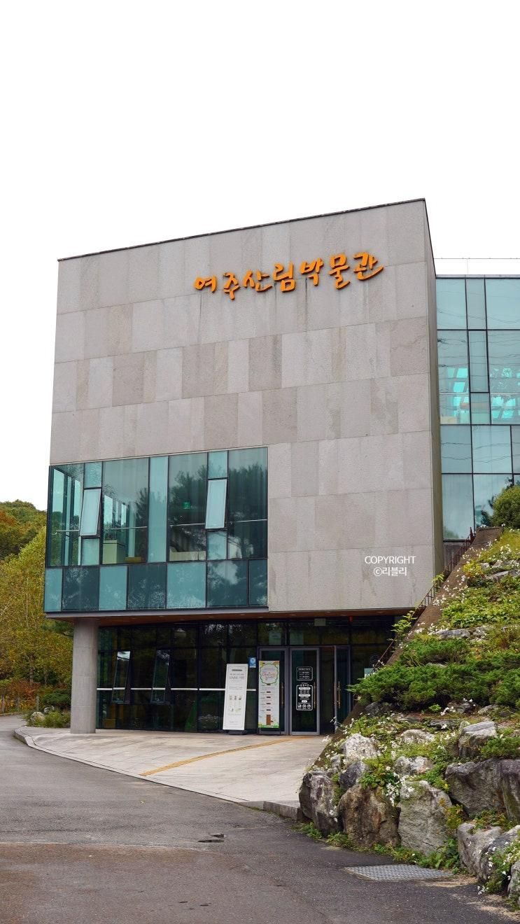 여주 아이랑 가볼만한곳 산림박물관 이용꿀팁