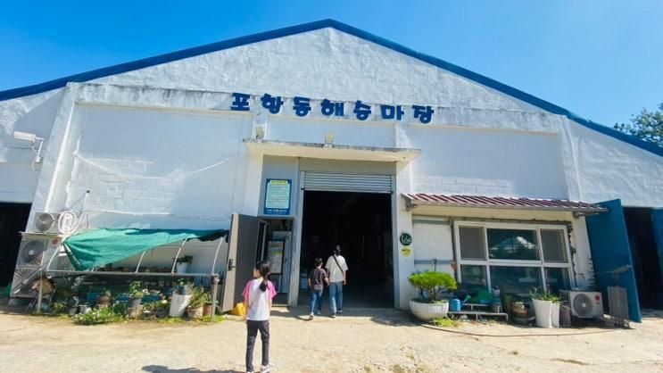 학생승마체험 포항동해승마장