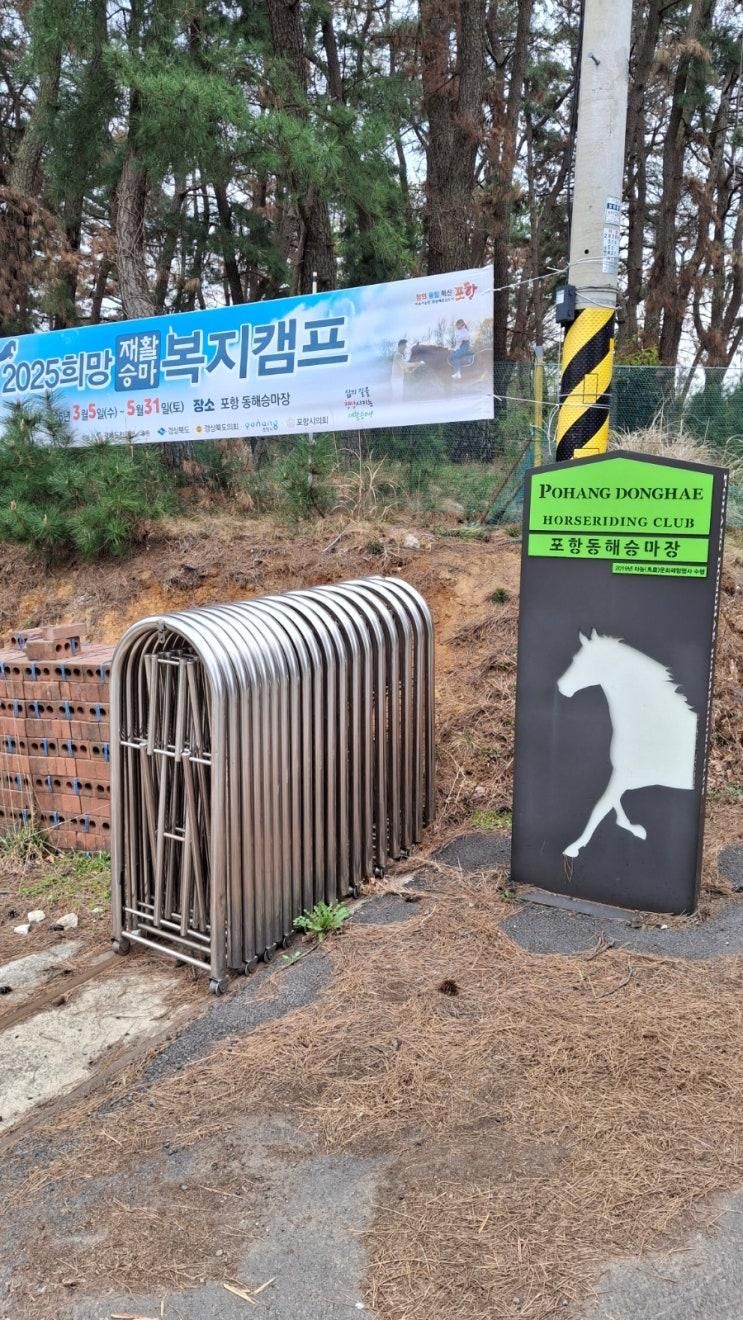 [포항동해승마장_승마 및 말먹이주기 체험. 아이랑 가볼만한곳]