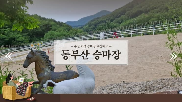 부산 기장에 위치한 동부산승마장을 다녀왔어요