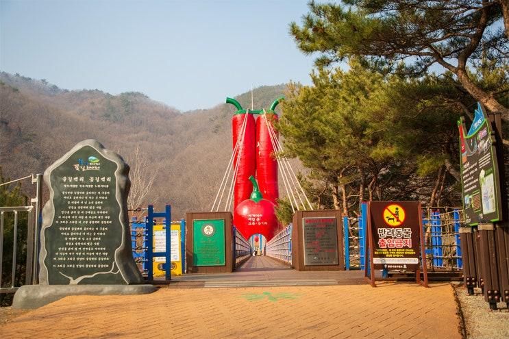 청양 가볼만한곳 1박2일 촬영지 칠갑산 천장호 출렁다리 근처... 