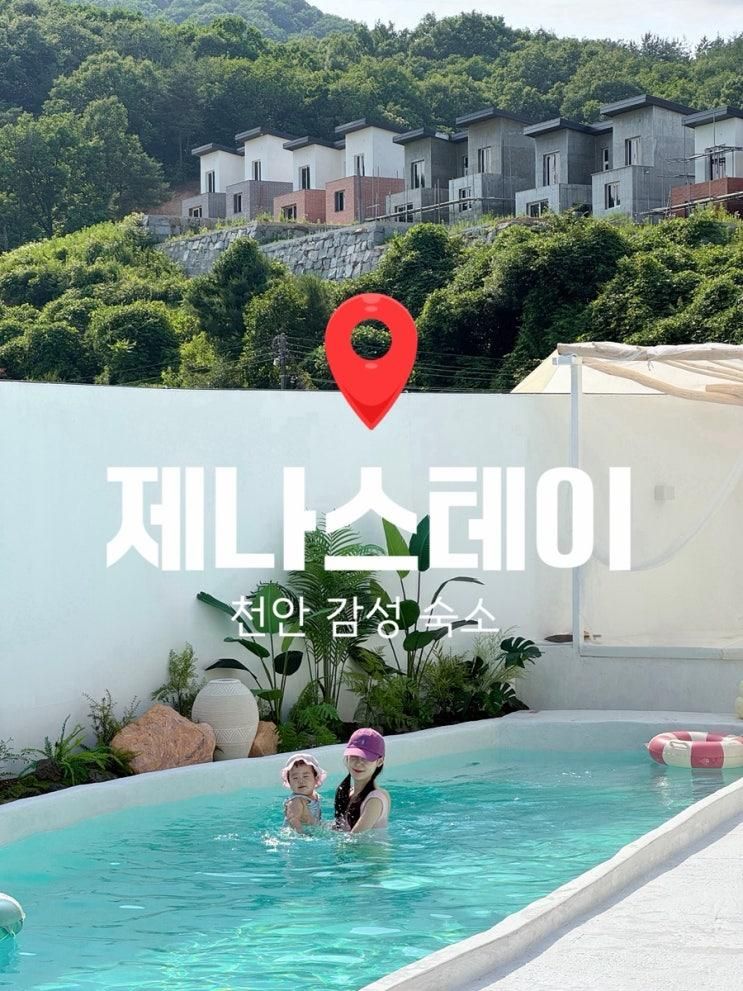 천안 발리감성 독채 풀빌라 제나스테이 가족여행지 수영장... 