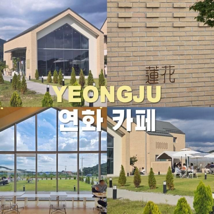경북 영주 소수서원 카페: 연화카페(蓮花, yeonwha cafe)