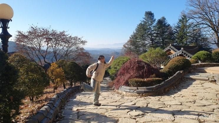 [여행/영주] 직딩의 연차쓰고... 소수서원, 선비촌, 연화카페