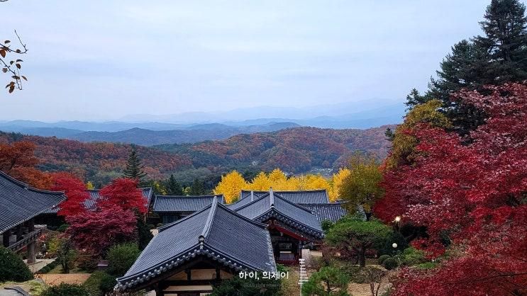 국내 여행 당일치기 영주 버스투어 무섬마을 소수서원 부석사... 